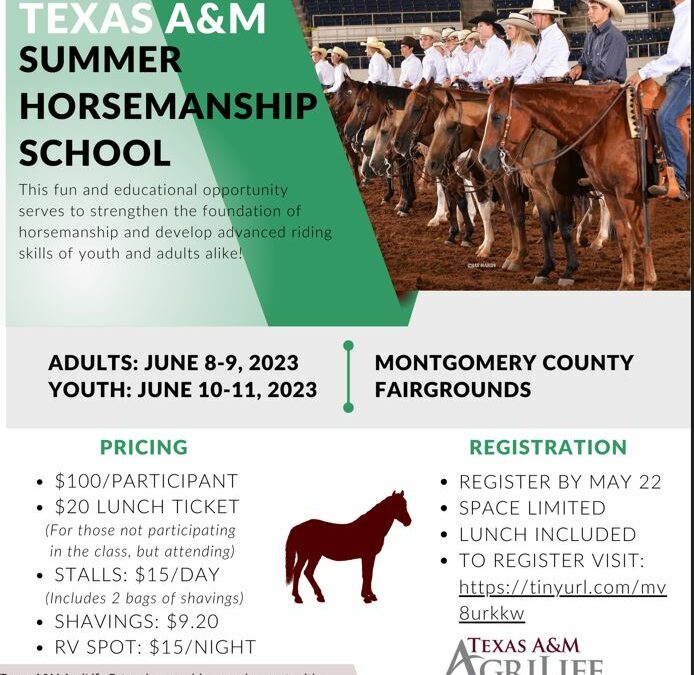 TAMU Horsemanship Clinic – June 8-11, 2023
