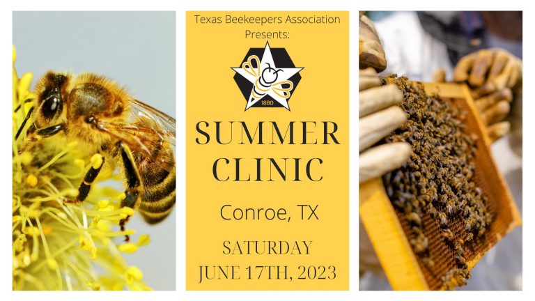 TX Beekeepers 2023 Summer Clinic – June 17, 2023