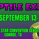 Reptile Sept 2025