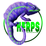 The Houston Reptile & Pet Show 6855e0f0d960d7b361eb29db_HERPS -